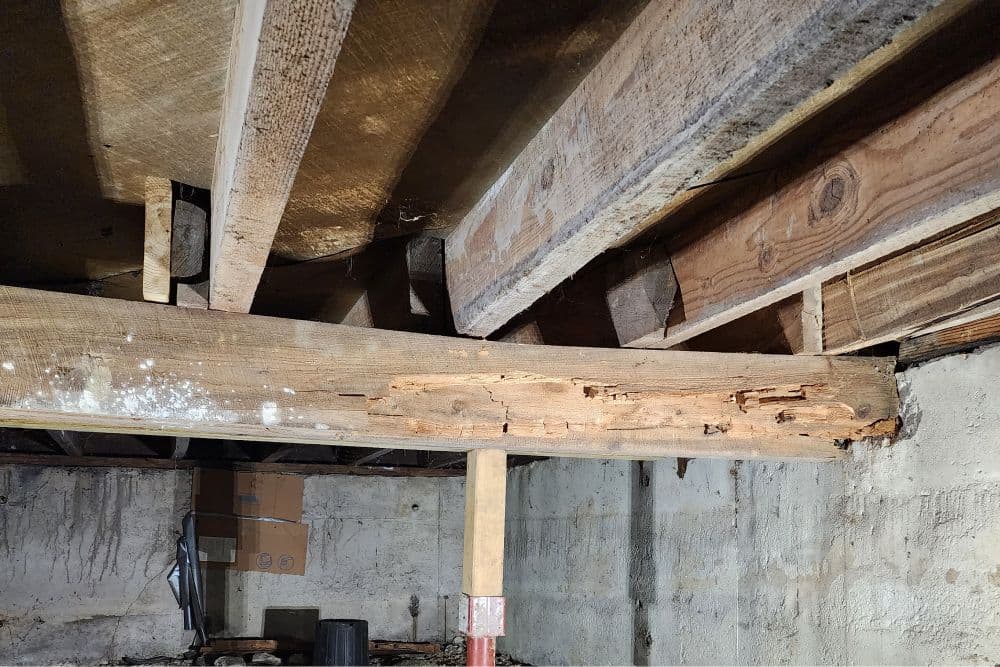 Exposed wooden beams showing signs of age and wear in an unfinished basement.