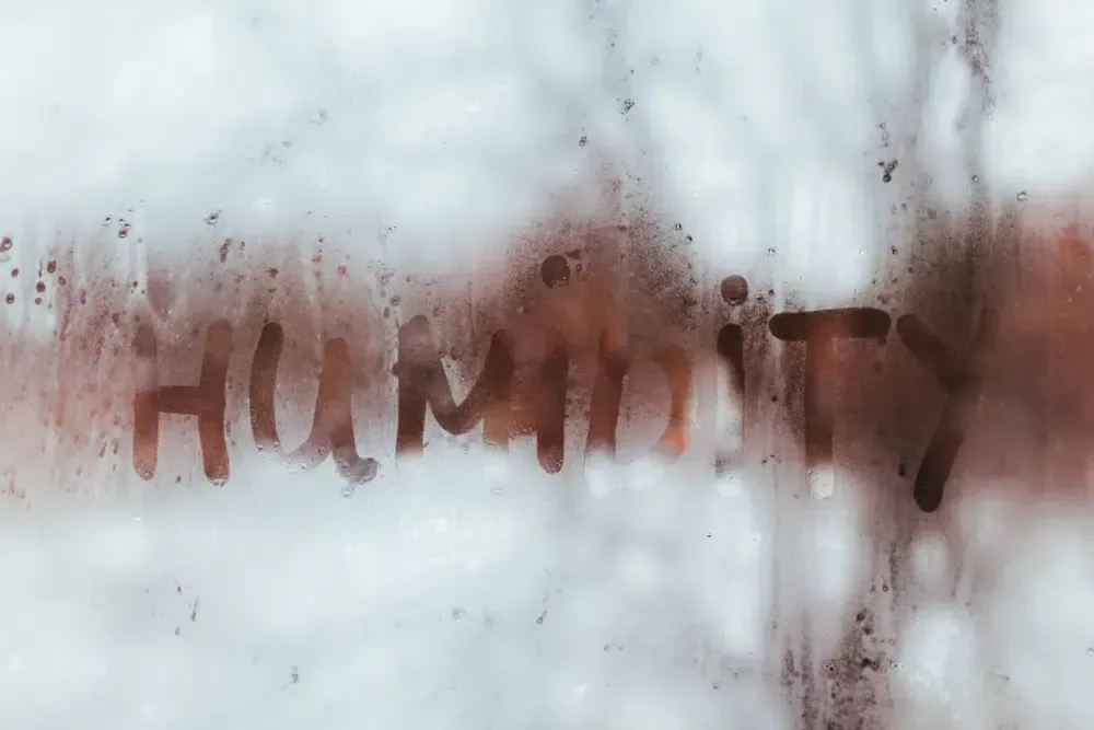Word Humanity written on a foggy or frosted surface with brown smudges and water droplets obscuring parts of the text