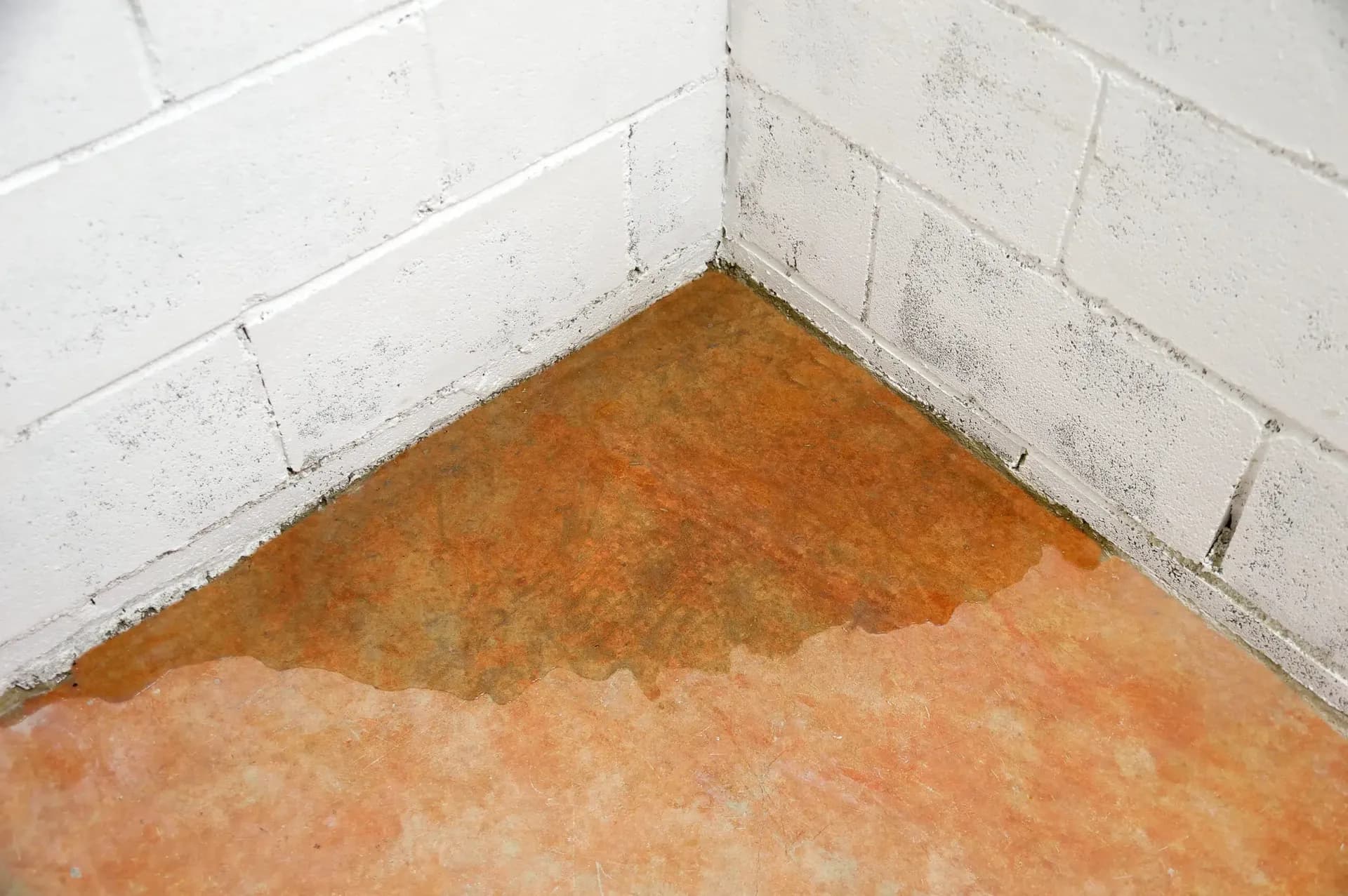 Water damage and staining on concrete floor where white brick wall meets floor, indicating moisture infiltration or flooding