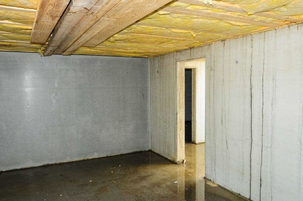 Unfinished basement interior with exposed yellow wooden beams, concrete floor with standing water, and white drywall walls with an open doorway