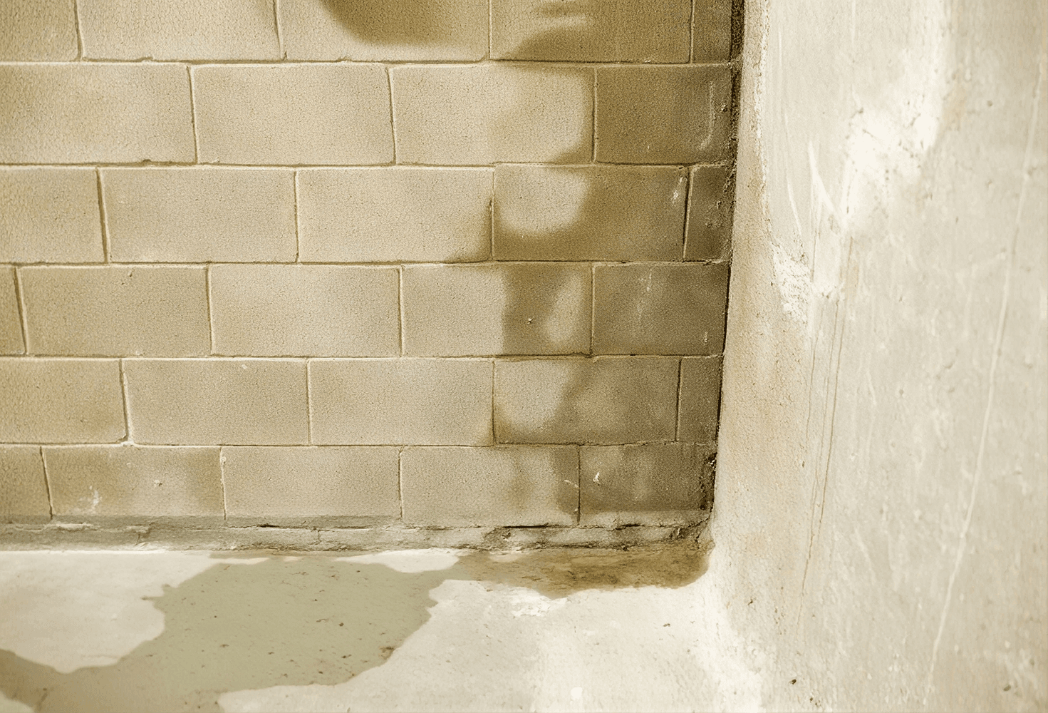 Concrete block wall corner showing water damage and discoloration along the base, indicating moisture infiltration issue.