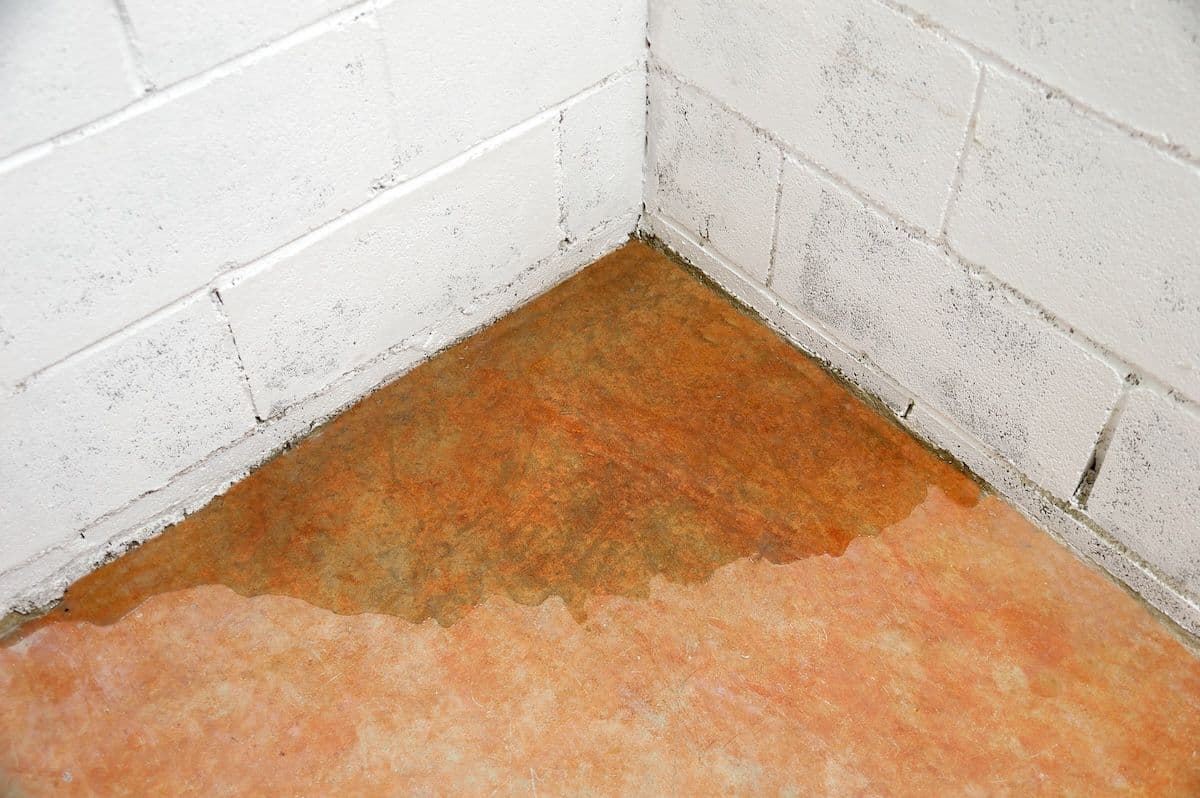 Corner of white brick wall with water damage and staining on the floor below.